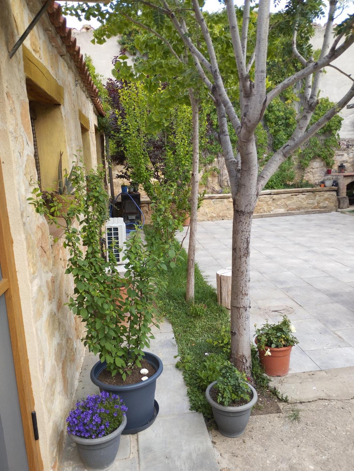 Casa Rural El Olivo Puigmoreno Exterior photo